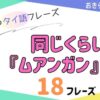 おきらく独学タイ語。アイキャッチ画像。同じくらい『ムアンガン』など。例文18フレーズ掲載。